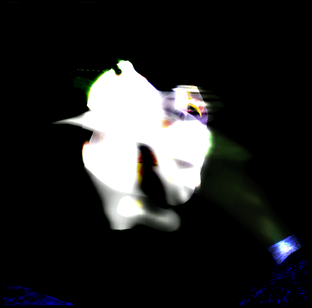 sl11b monkey mind ohmy variance-1