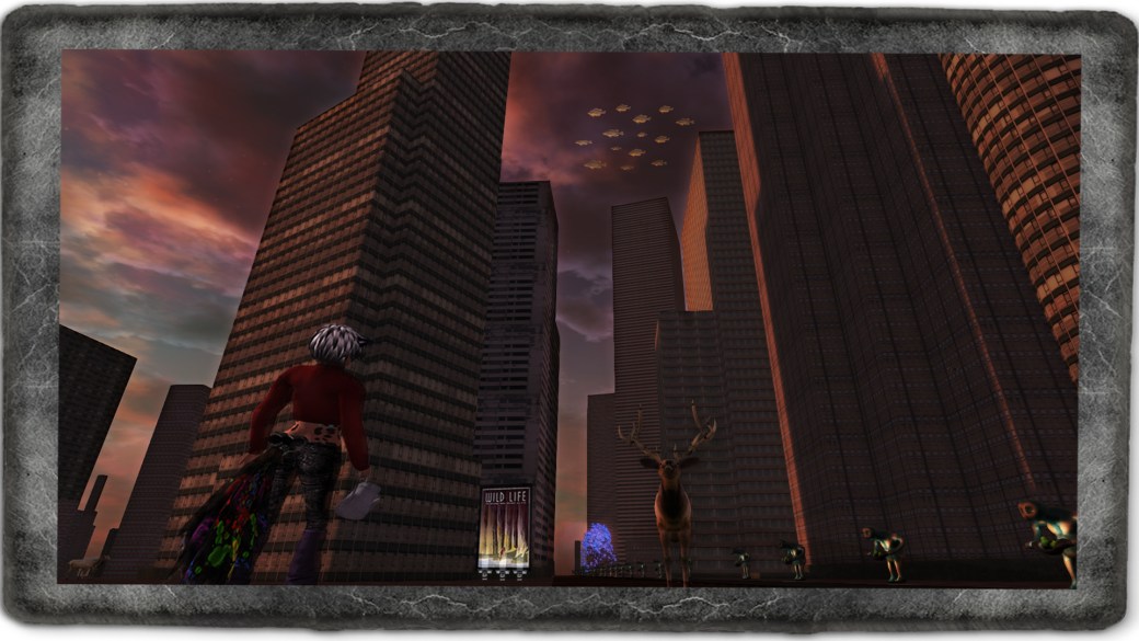 the-city copy-2 copy